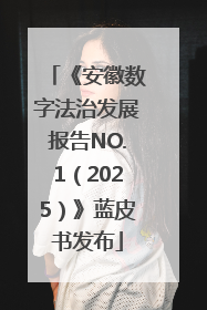 《安徽数字法治发展报告NO.1（2025）》蓝皮书发布