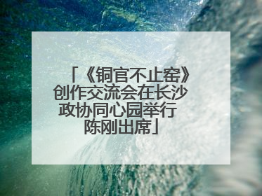 《铜官不止窑》创作交流会在长沙政协同心园举行 陈刚出席