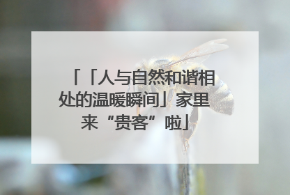 「人与自然和谐相处的温暖瞬间」家里来“贵客”啦