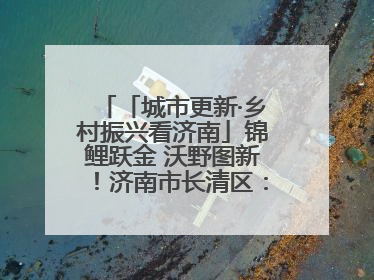 「城市更新·乡村振兴看济南」锦鲤跃金 沃野图新！济南市长清区：小锦鲤大产业 游出农旅新风景