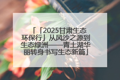 「2025甘肃生态环保行」从风沙之源到生态绿洲——青土湖华丽转身书写生态新篇