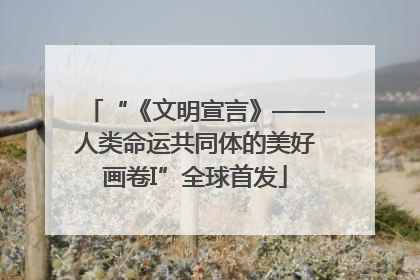 “《文明宣言》——人类命运共同体的美好画卷I”全球首发