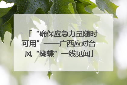 “确保应急力量随时可用”——广西应对台风“蝴蝶”一线见闻