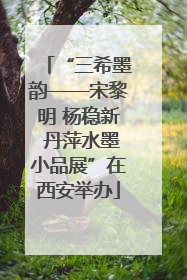 “三希墨韵——宋黎明 杨稳新 丹萍水墨小品展”在西安举办