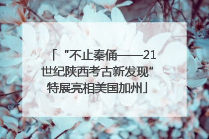 “不止秦俑——21世纪陕西考古新发现”特展亮相美国加州