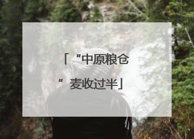 “中原粮仓”麦收过半