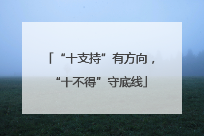 “十支持”有方向，“十不得”守底线