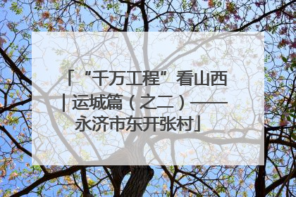 “千万工程”看山西｜运城篇（之二）——永济市东开张村