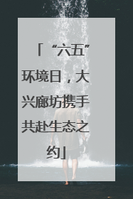 “六五”环境日，大兴廊坊携手共赴生态之约