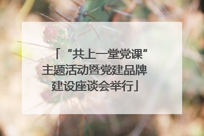“共上一堂党课”主题活动暨党建品牌建设座谈会举行
