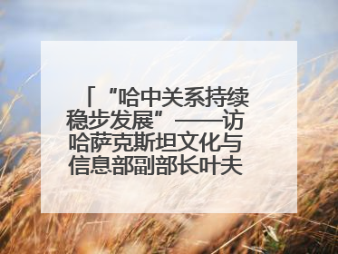 “哈中关系持续稳步发展”——访哈萨克斯坦文化与信息部副部长叶夫根尼·科切托夫