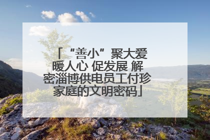 “善小”聚大爱 暖人心 促发展 解密淄博供电员工付珍家庭的文明密码