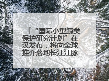 “国际小型鲸类保护研究计划”在汉发布，将向全球推介落地长江江豚保护经验