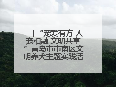 “宠爱有方 人宠相融 文明共享”青岛市市南区文明养犬主题实践活动举办