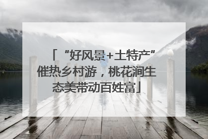 “好风景+土特产”催热乡村游，桃花涧生态美带动百姓富