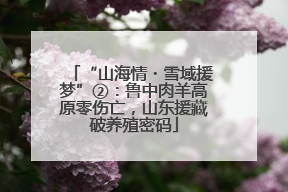 “山海情・雪域援梦”②：鲁中肉羊高原零伤亡，山东援藏破养殖密码