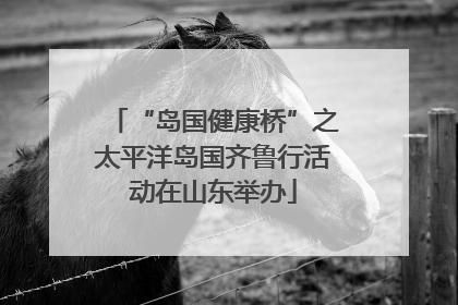 “岛国健康桥”之太平洋岛国齐鲁行活动在山东举办