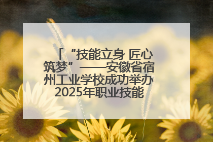“技能立身 匠心筑梦”——安徽省宿州工业学校成功举办2025年职业技能活动周各项活动