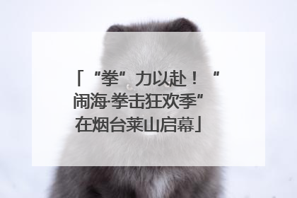 “拳”力以赴！“闹海·拳击狂欢季”在烟台莱山启幕