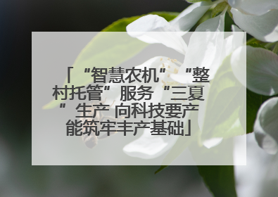 “智慧农机”“整村托管”服务“三夏”生产 向科技要产能筑牢丰产基础