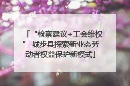 “检察建议+工会维权” 城步县探索新业态劳动者权益保护新模式