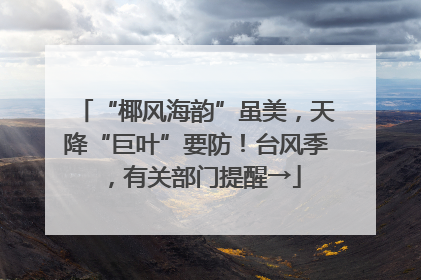 “椰风海韵”虽美，天降“巨叶”要防！台风季，有关部门提醒→