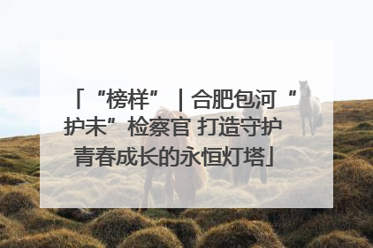 “榜样”｜合肥包河“护未”检察官 打造守护青春成长的永恒灯塔