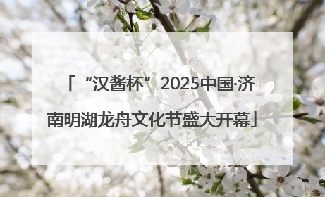 “汉酱杯”2025中国·济南明湖龙舟文化节盛大开幕