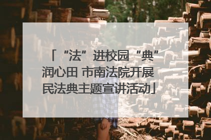 “法”进校园“典”润心田 市南法院开展民法典主题宣讲活动