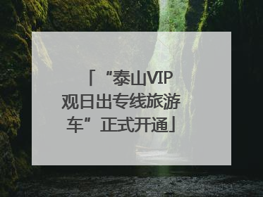 “泰山VIP观日出专线旅游车”正式开通