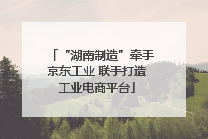 “湖南制造”牵手京东工业 联手打造工业电商平台