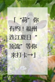 “荷”你有约！福州连江夏日“顶流”等你来打卡→