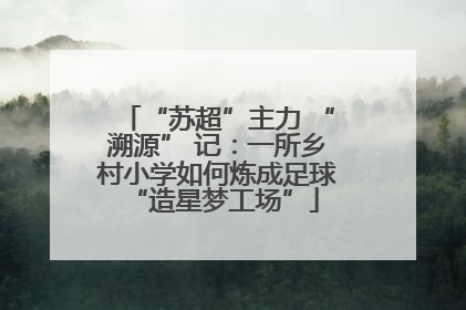 “苏超”主力 “溯源” 记：一所乡村小学如何炼成足球 “造星梦工场”