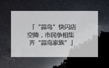 “蒜鸟”快闪店空降，市民争相集齐“蒜鸟家族”