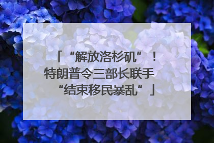“解放洛杉矶”！特朗普令三部长联手“结束移民暴乱”