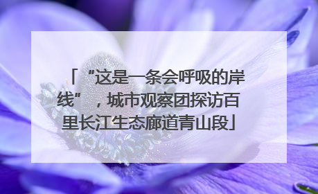 “这是一条会呼吸的岸线”，城市观察团探访百里长江生态廊道青山段