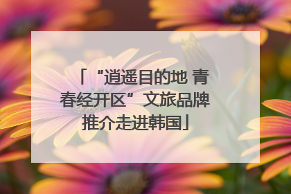 “逍遥目的地 青春经开区”文旅品牌推介走进韩国