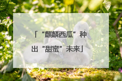 “麒麟西瓜”种出“甜蜜”未来