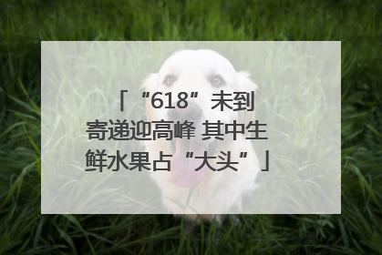 “618”未到 寄递迎高峰 其中生鲜水果占“大头”