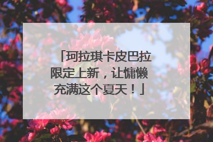 珂拉琪卡皮巴拉限定上新，让慵懒充满这个夏天！