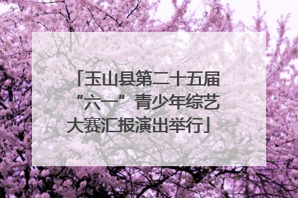 玉山县第二十五届“六一”青少年综艺大赛汇报演出举行