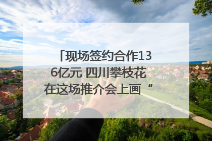现场签约合作136亿元 四川攀枝花在这场推介会上画“图谱”列“清单”