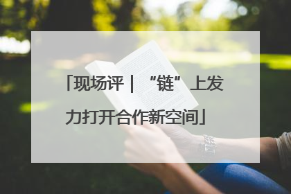 现场评｜“链”上发力打开合作新空间