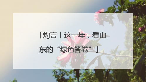 灼言丨这一年，看山东的“绿色答卷”