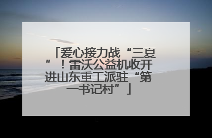 爱心接力战“三夏”！雷沃公益机收开进山东重工派驻“第一书记村”