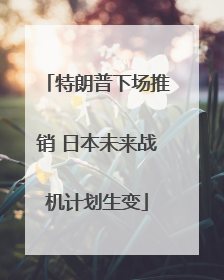 特朗普下场推销 日本未来战机计划生变