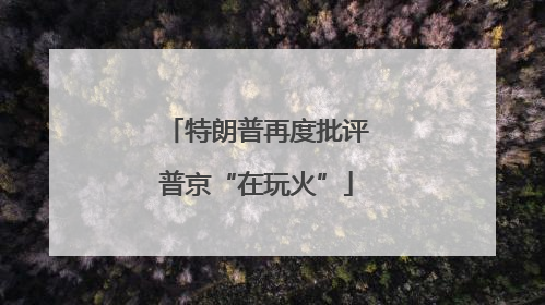 特朗普再度批评普京“在玩火”