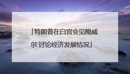 特朗普在白宫会见鲍威尔 讨论经济发展情况