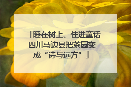 睡在树上、住进童话 四川马边县把茶园变成“诗与远方”