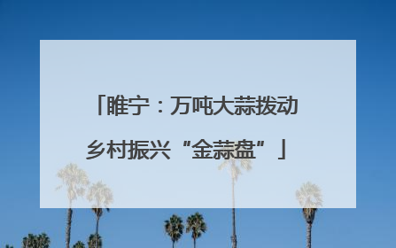 睢宁：万吨大蒜拨动乡村振兴“金蒜盘”